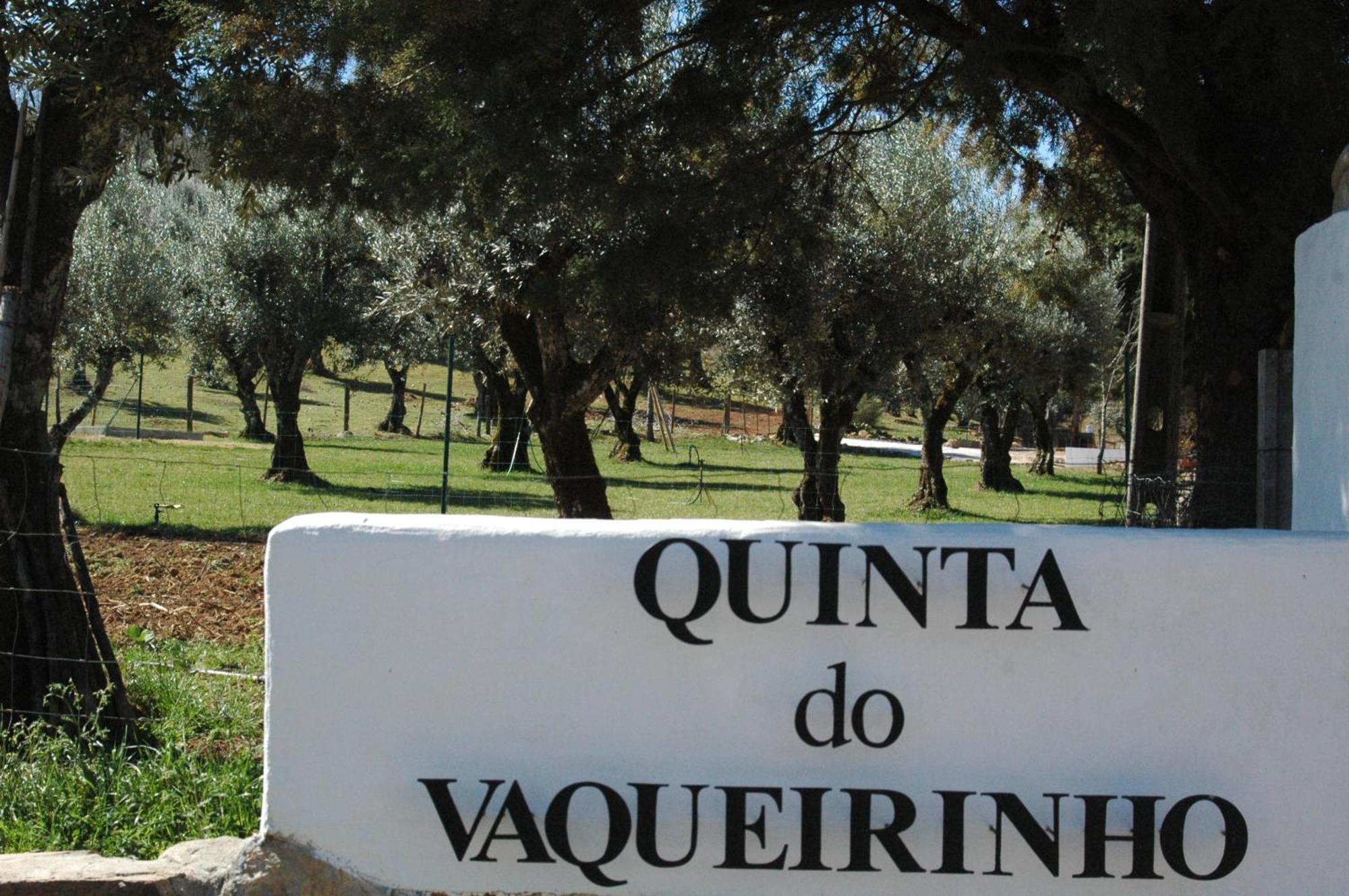Quinta Do Vaqueirinho - Agro-Turismo Villa Marvão Екстериор снимка