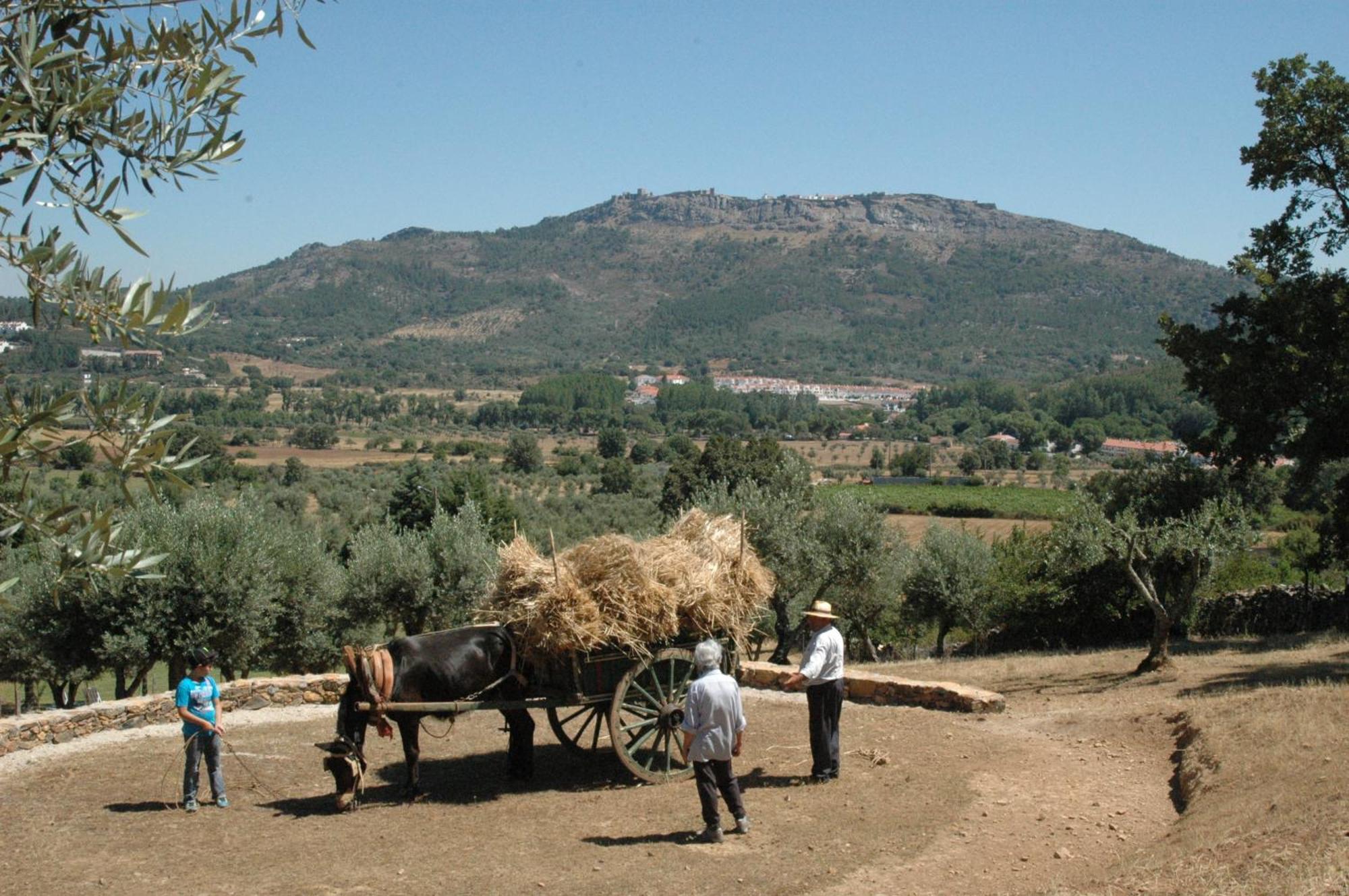 Quinta Do Vaqueirinho - Agro-Turismo Villa Marvão Екстериор снимка