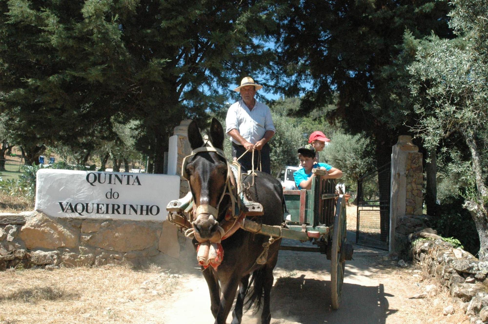Quinta Do Vaqueirinho - Agro-Turismo Villa Marvão Екстериор снимка