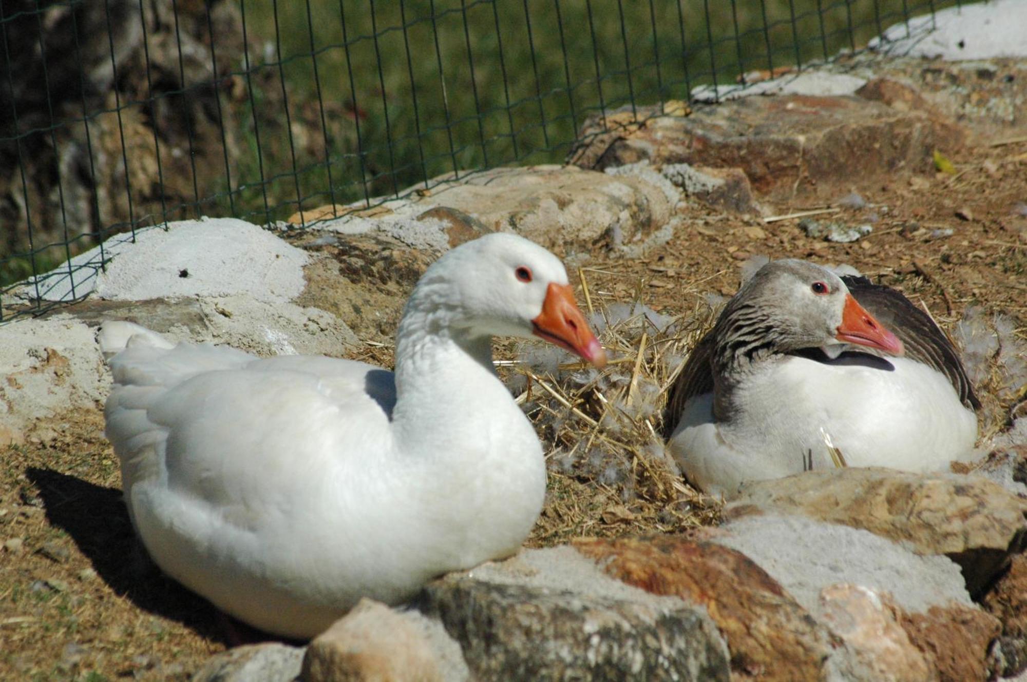 Quinta Do Vaqueirinho - Agro-Turismo Villa Marvão Екстериор снимка