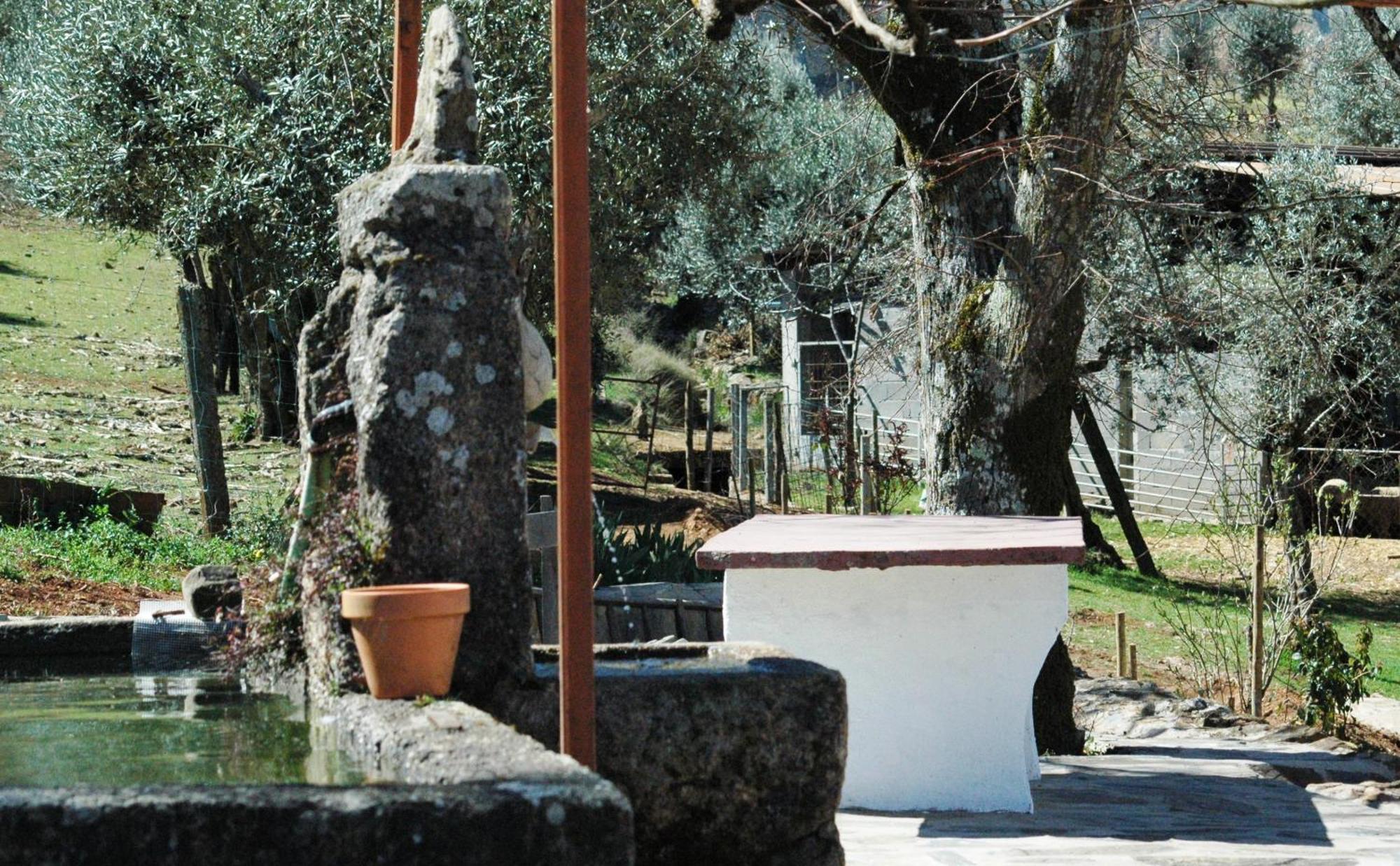 Quinta Do Vaqueirinho - Agro-Turismo Villa Marvão Екстериор снимка