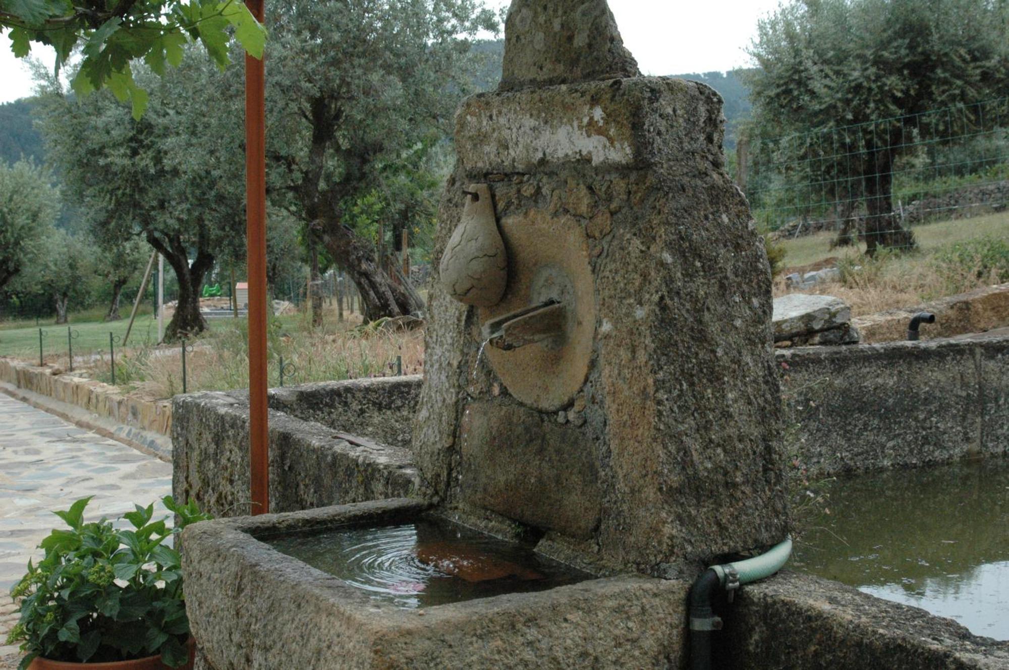 Quinta Do Vaqueirinho - Agro-Turismo Villa Marvão Екстериор снимка