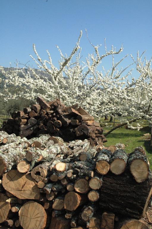 Quinta Do Vaqueirinho - Agro-Turismo Villa Marvão Екстериор снимка